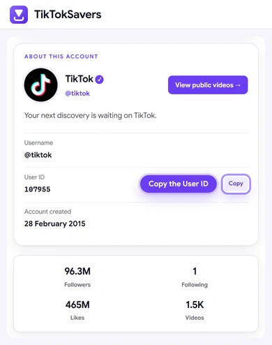 The @tiktok profile details with its user ID, a Copy button and View public videos