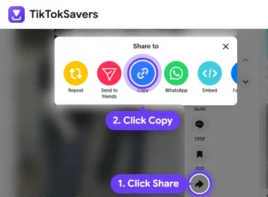 TikTok.com in a desktop browser with the Share button and the Copy option highlighted