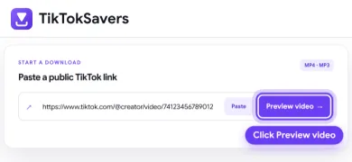 A TikTok link pasted into the TikTokSavers box on a computer, with Preview video highlighted