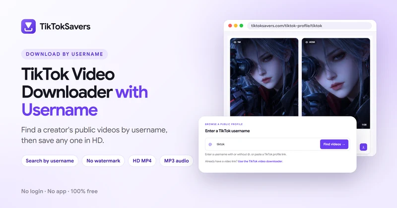 TikTok Video Downloader with Username: a username search box above a profile's public video grid