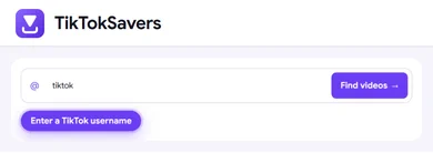 The username box with tiktok typed in and the Find videos button